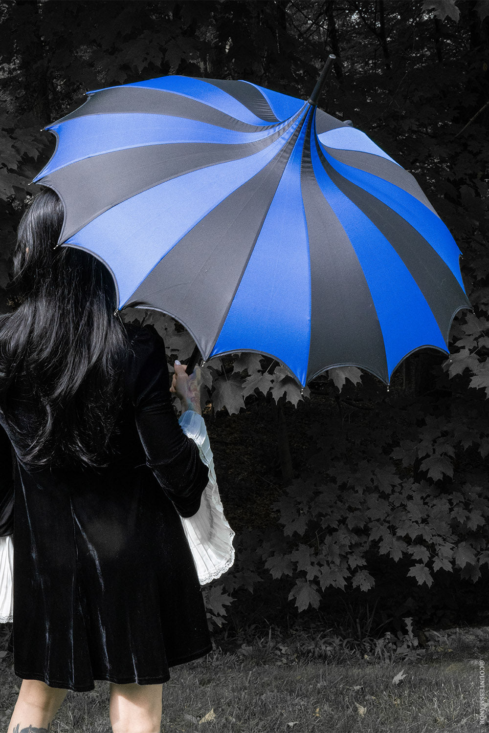 black and blue striped pagoda umbrella