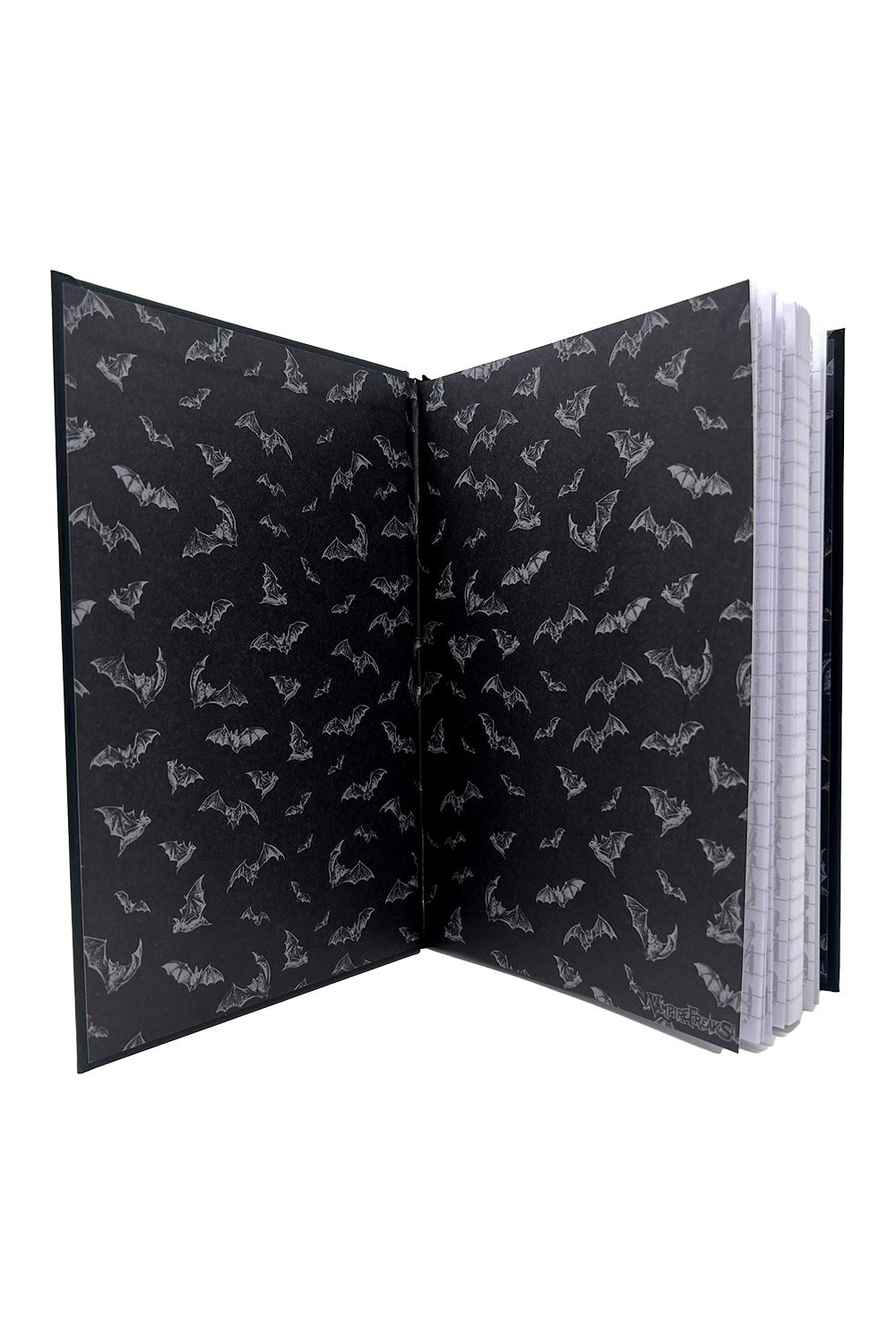 black cat and bat notebook with bats on the inside 