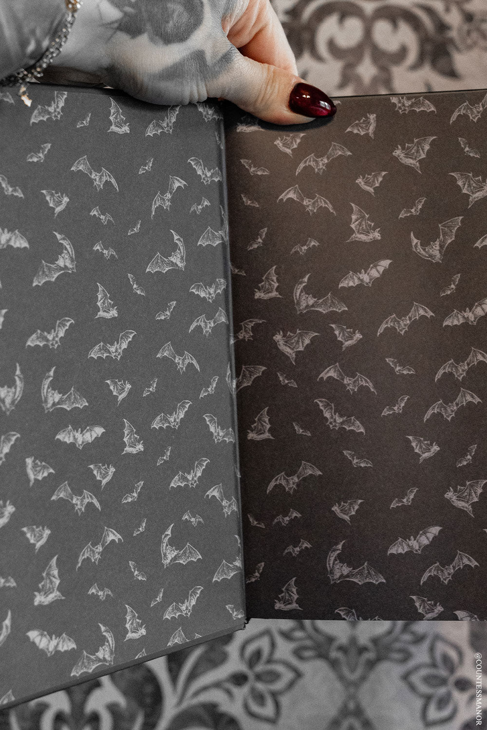 bat drawing inside a gothic notebook 