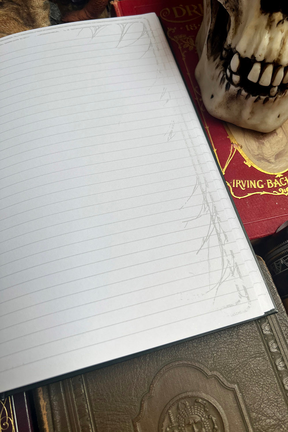 Plague Doctor Journal