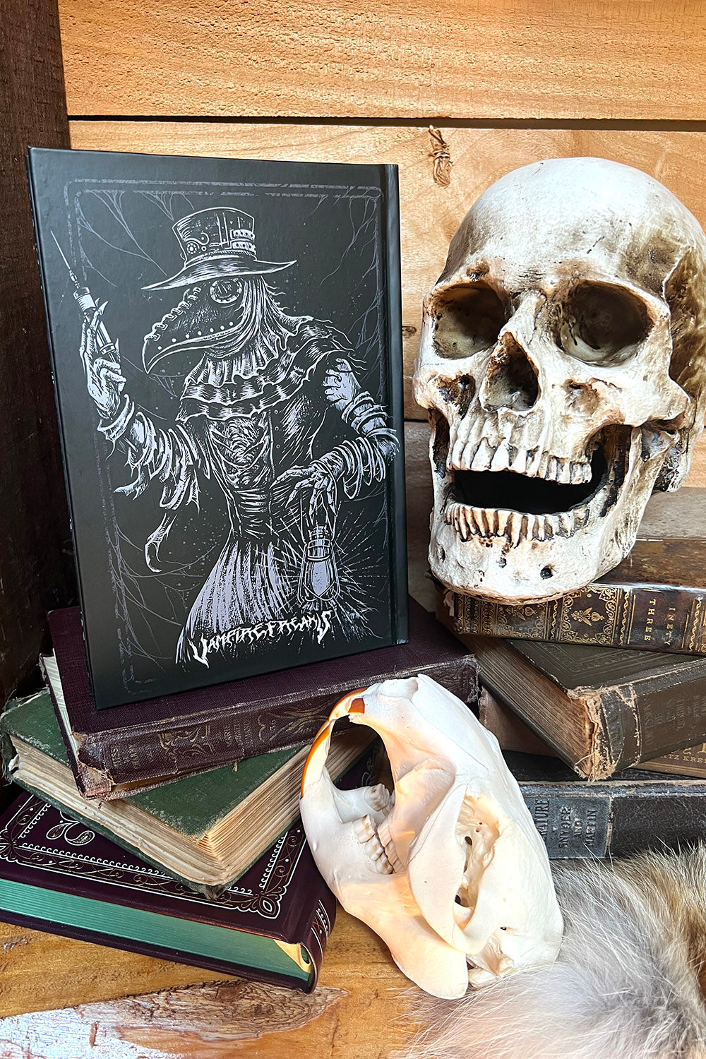 Plague Doctor Journal